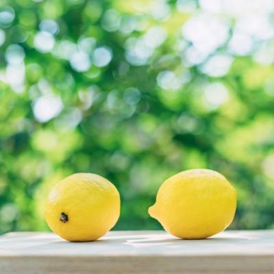 神无月手游官方首发版下载