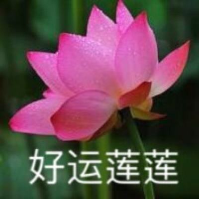 儿童早教乐园免费下载